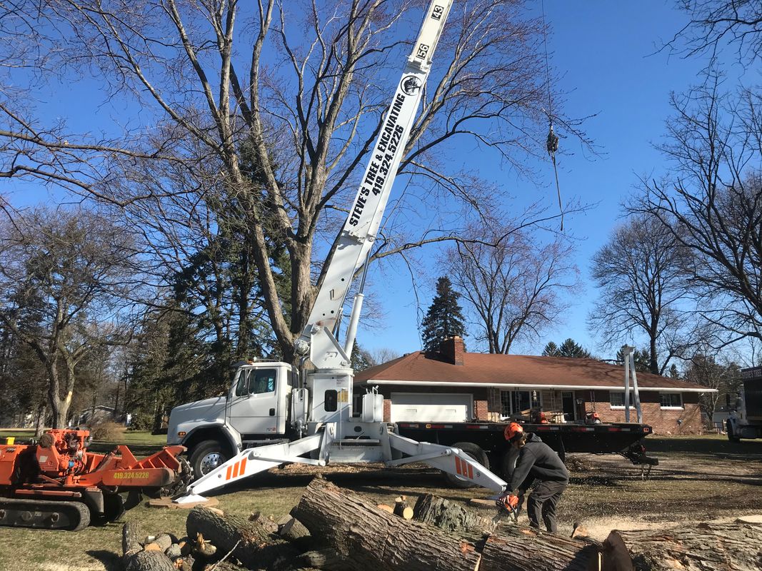 Steve's Tree Services, Landscape, Hauling & Excavating gallery 9