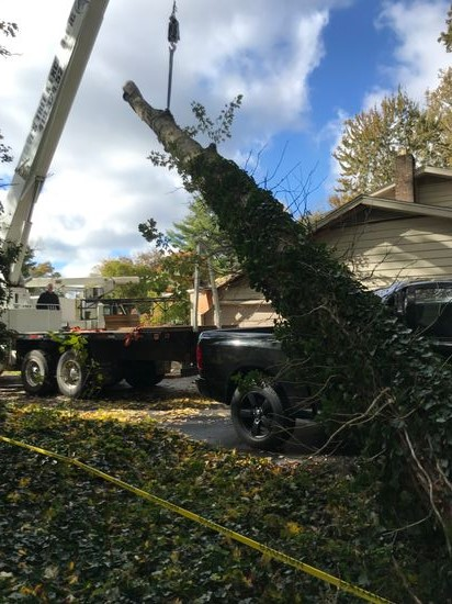 Using our crane for emergancy tree removal after a storm ontruck.png