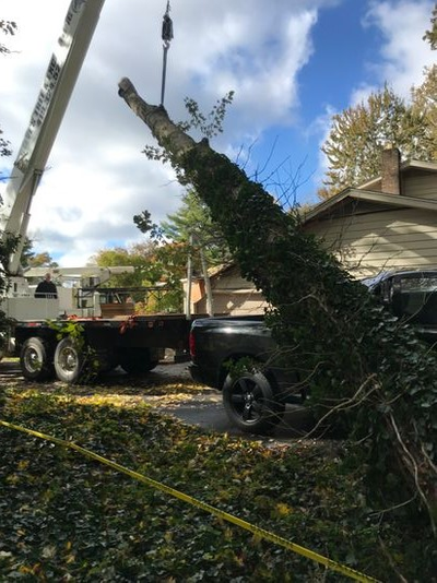 Using our crane for emergancy tree removal after a storm ontruck.png
