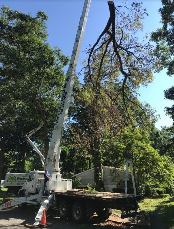We can remove trees of all sizes in even the most hard to each of places Crane Tree Removal