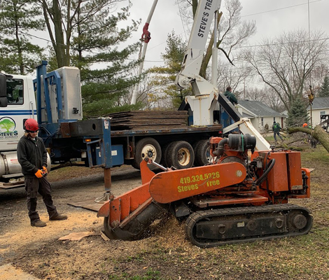 Stump Grinding Below Ground Level