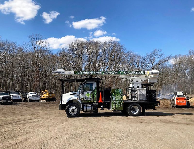 Steve's Tree Services, Landscape, Hauling & Excavating work site