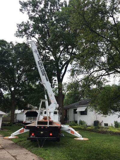 Hard to Reach Tree Removal Service 