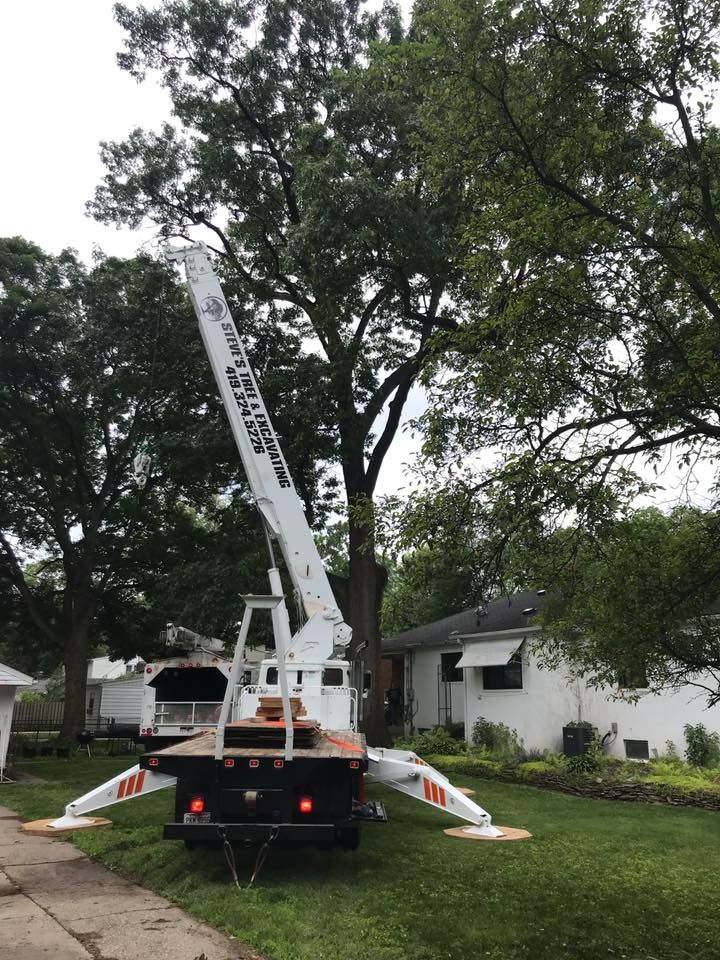 Using our crane to trim some Toledo area trees Hard to Reach Tree Removal Service
