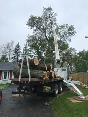 Crane Services for Tree Removal