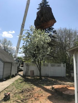 Safe Tree Removal Of Hard To Reach Areas