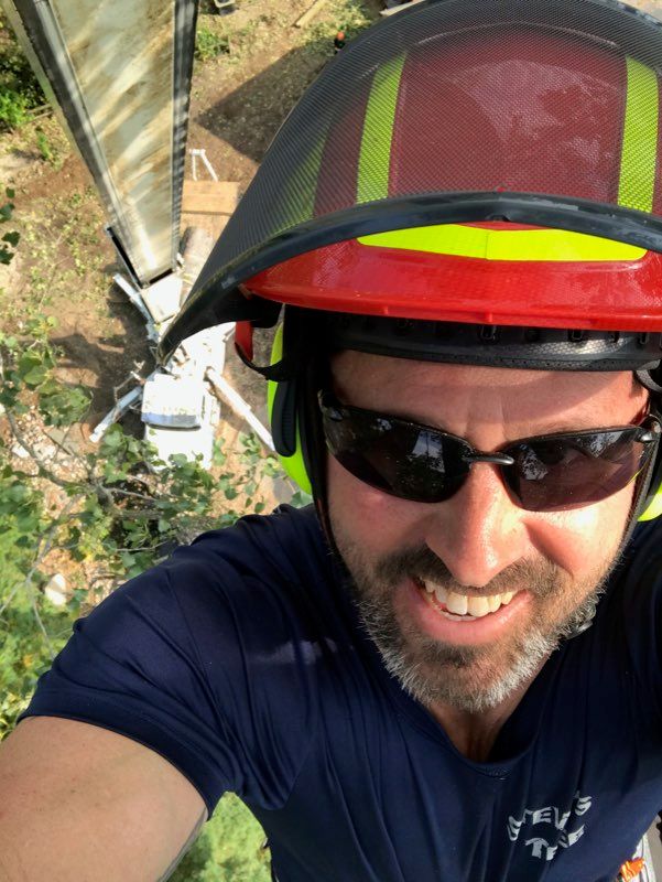 Steve - Toledo's Arborist of Choice