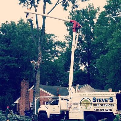 Crane Tree Removal Services
