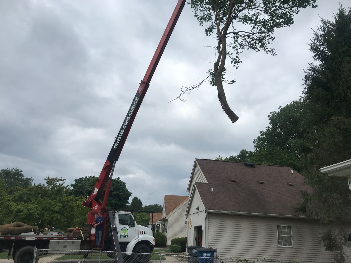 Hard to reach tree removal