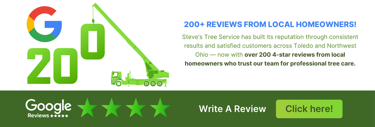 200 4 Stars Steve's Trees.png