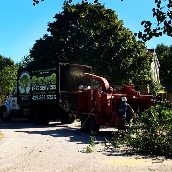 Chipping and Hauling Tree Services  