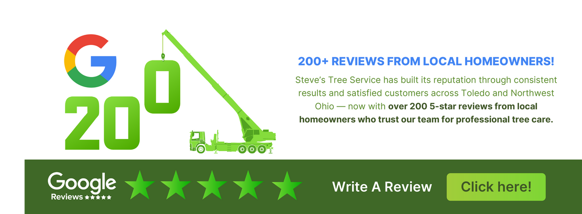 Steve's  Trees Five Star Reviews