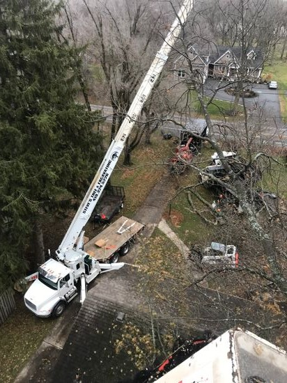 Hard to reach tree removal using our 104 ft crane Hard to reach tree removal