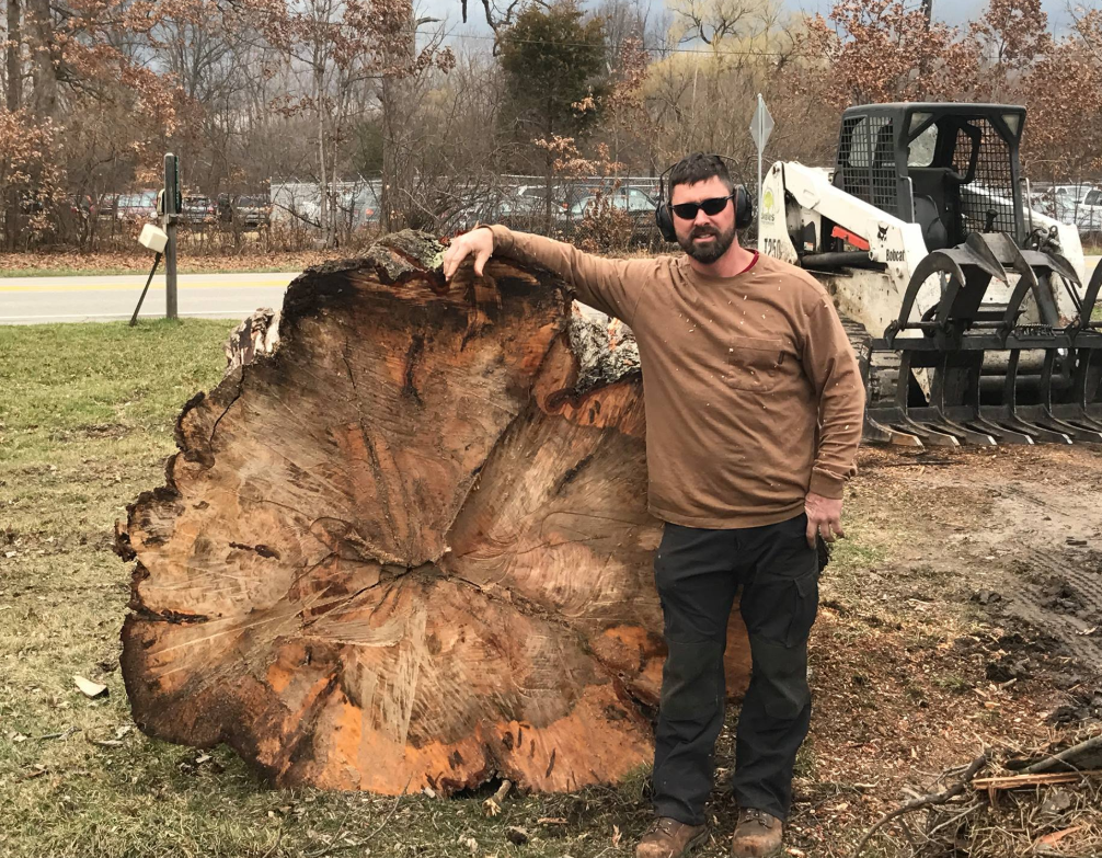 Steve next to a massive tree recently taken down. bigtree.png