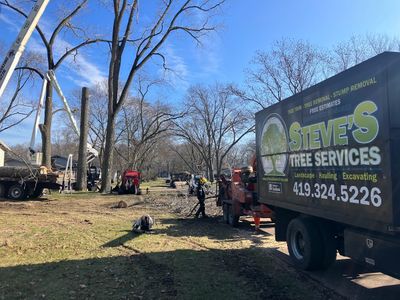 Call Steve's Tree Services of Toledo For Any Tree Removal Task