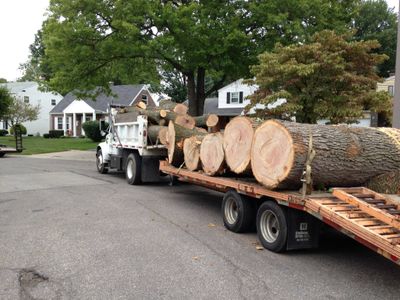 Hauling Wood - Large Tree Removal