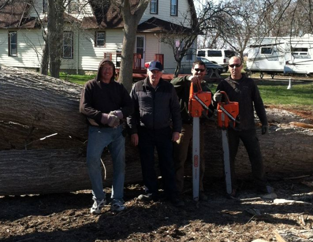 A few guys from our tree removal team Professional tree removal team