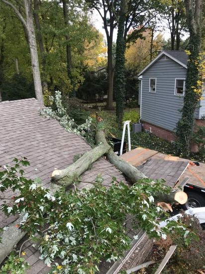 Call Steve for 24/7 Emergency storm clean up services! onrood.png
