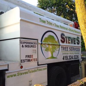 Heavy-Duty Tree Removal Service 