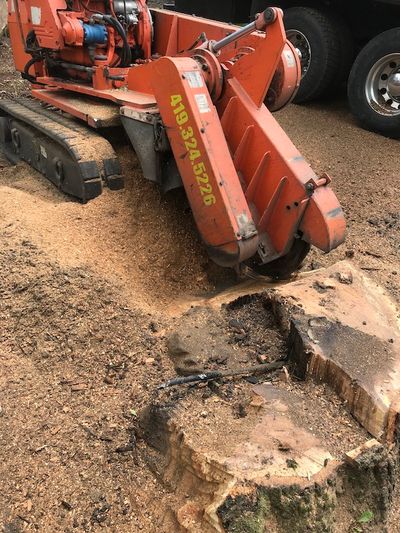 Stump Grinding after Tree Removal