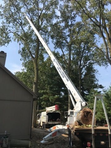 Cutting hard to rech trees