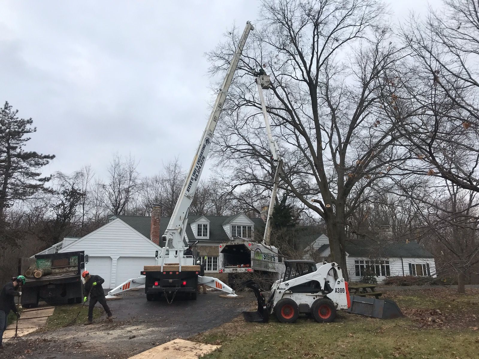 Tree crane removal service 
