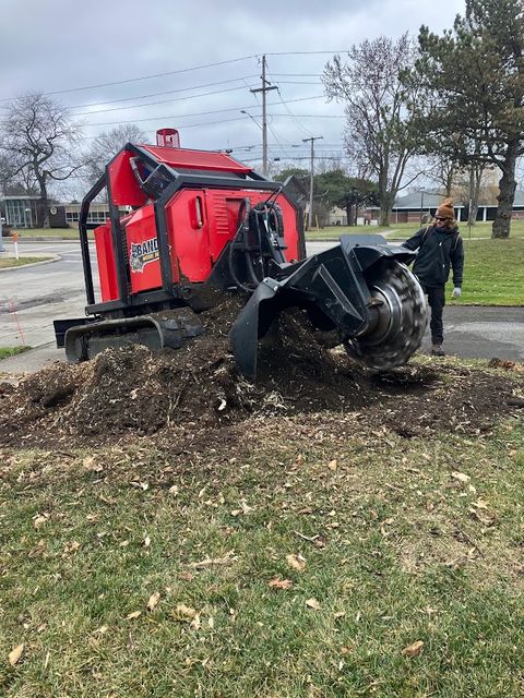 Stump Grinding Services Toledo