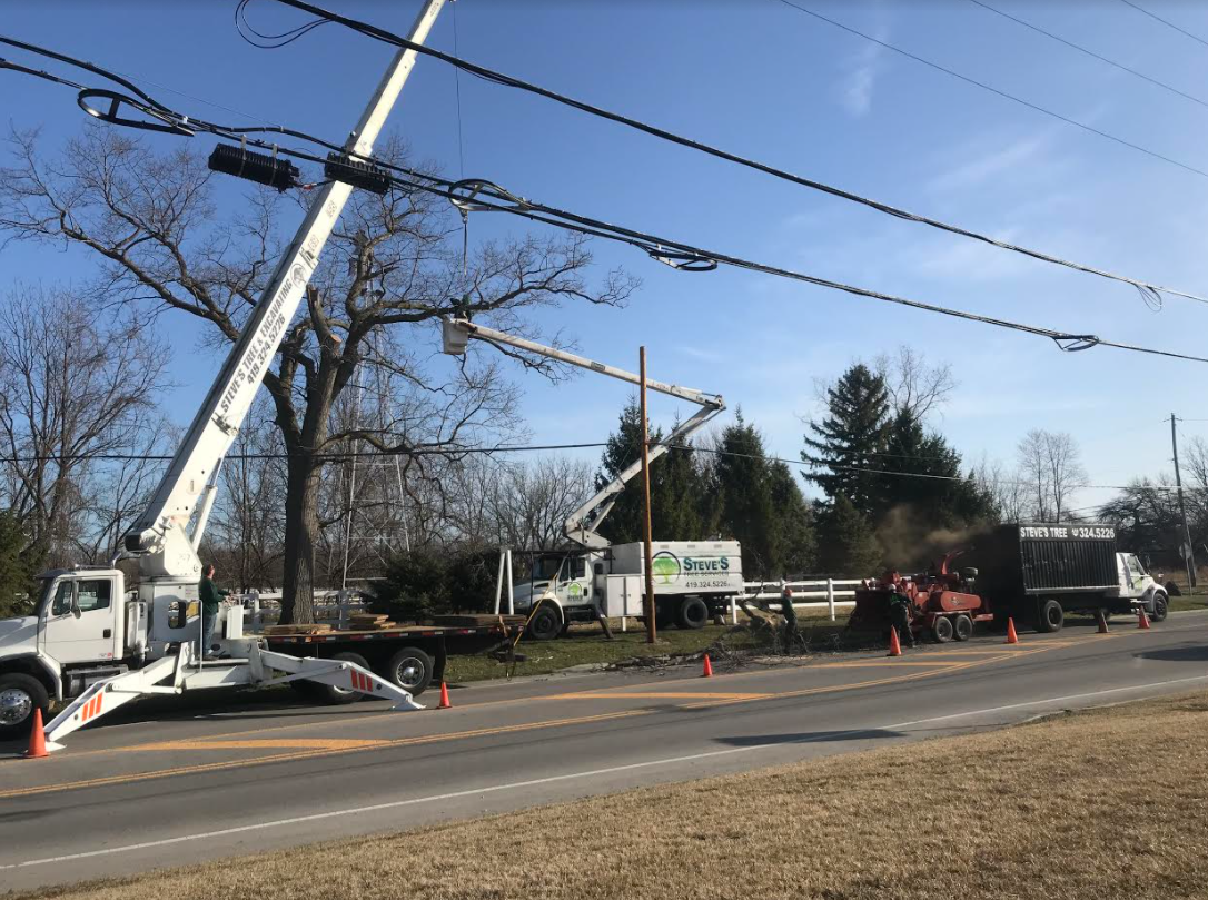 Special Crane Services for Tree Cutting
