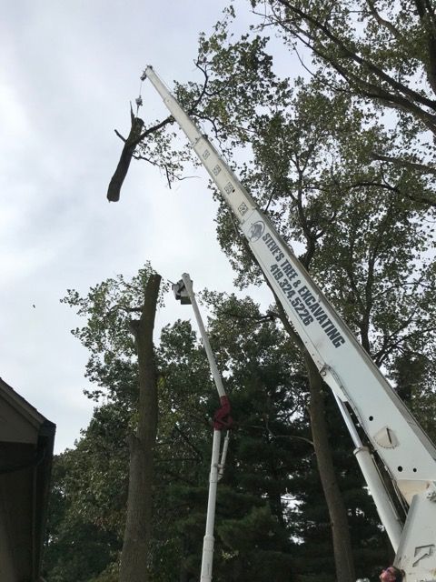 Tree Cutting with a Crane