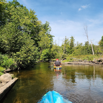 Absolutely fantastic experience today. The river was so peaceful and beautiful! All uninterrupted by man, no houses, no car noise, just oeace.We enjoyed the relaxing trip, the scenery and wildlife (fish, deer, turtles, birds and our own guardian crane that followed us the entire trip). There was a nice mix of easy kayaking and a few areas that you had to navigate around downed trees. All sand bottom, clear water average about 3ft deep. Easy drop off and pick up. We will definitely take this trip again. Kayce