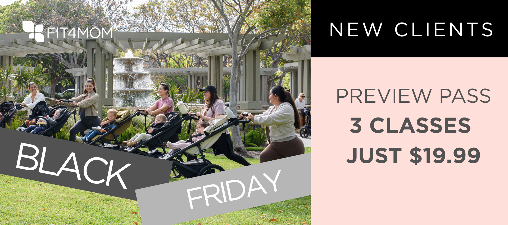 Copy of Copy of FRAN - FREE - Black Friday - Website Slider.png