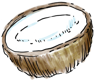 coconut2.png