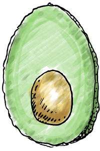avocado.png