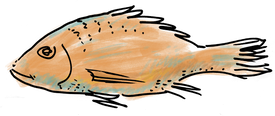 fish.png