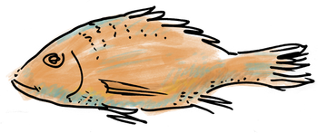 fish.png