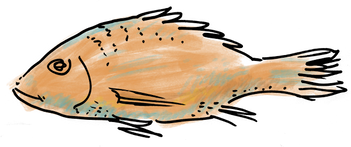 fish.png