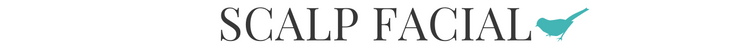 Birch Salon Text.png