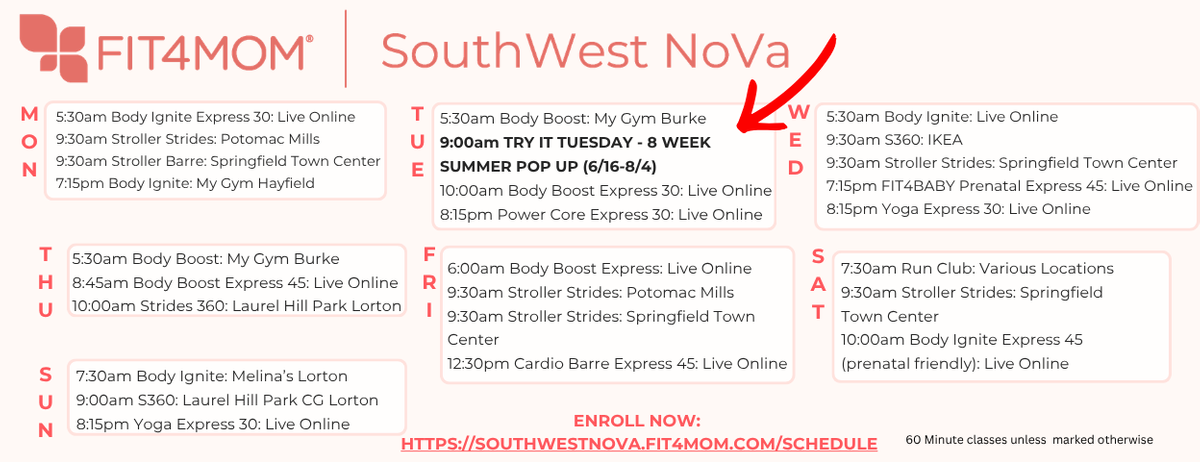 Copy of Website and Newsletter Schedule Templates (1).png