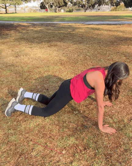 SB Plank.gif