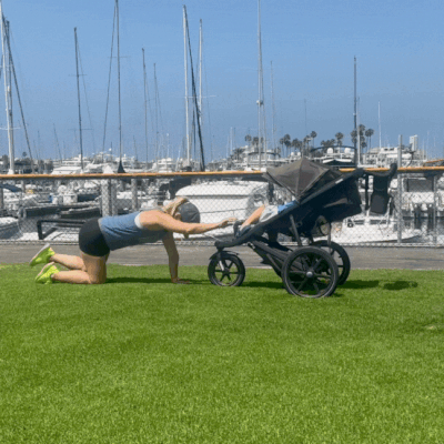 Bird Dog.gif