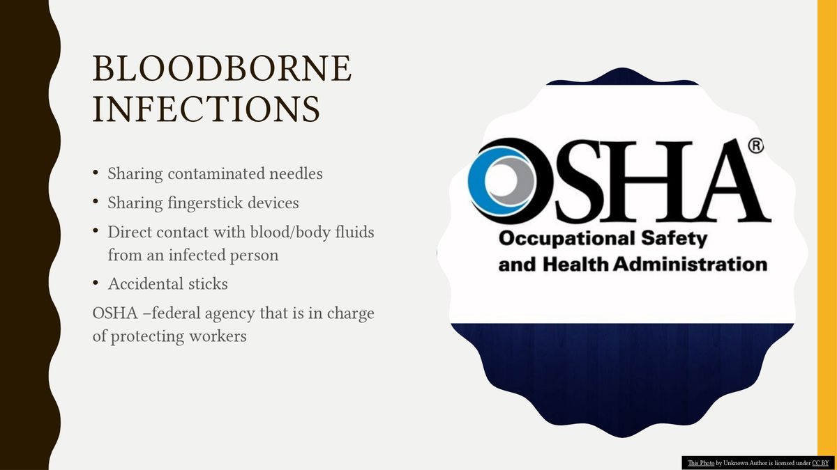 Bloodborne Infections