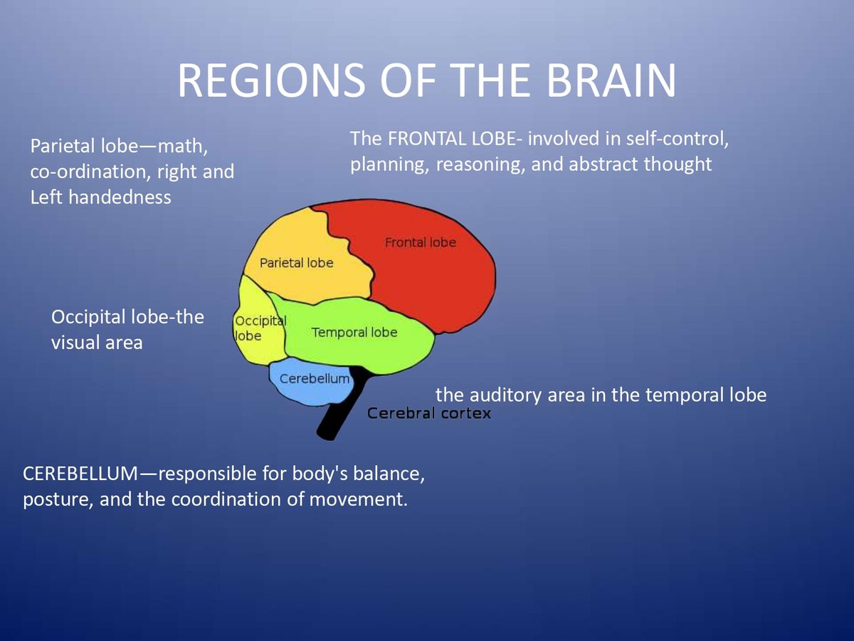Psychotropic Medications_page-0010.jpg