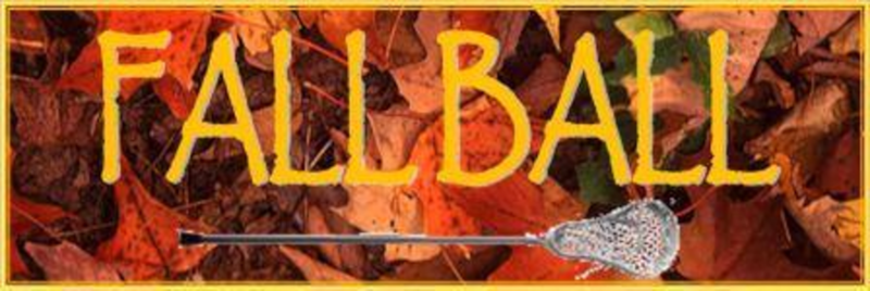 Fall_Ball_large.png