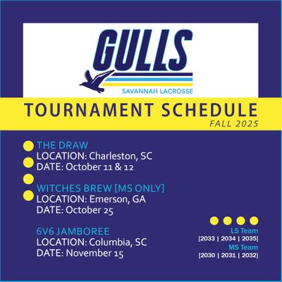Gulls2025TournamentSnapshot.jpg