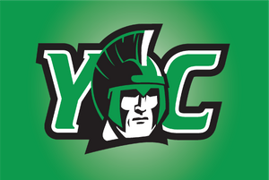 york banner.png