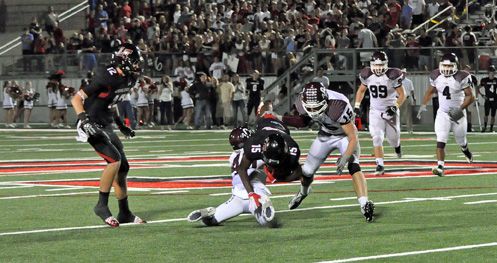 pannell flipped_edited-1.jpg