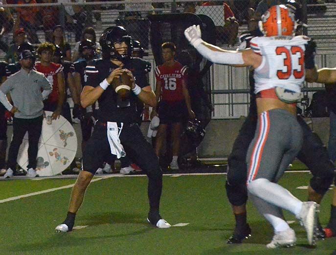 Ditta with Mangino watching.jpg