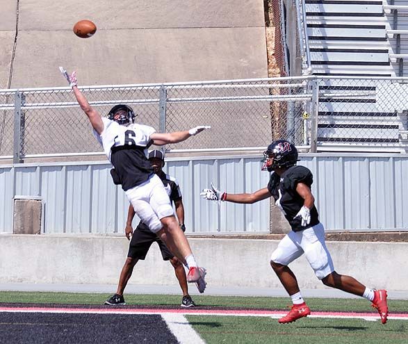 2019 08 17_0265web.jpg