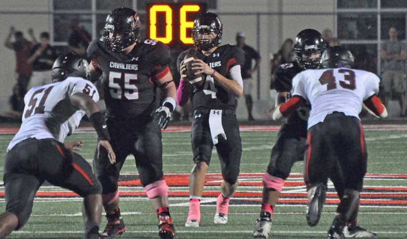 delira dropping backweb.jpg