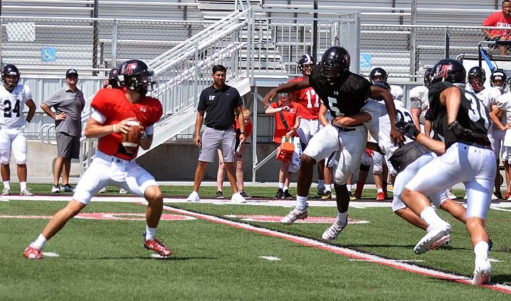 2019 08 17_0285web.jpg